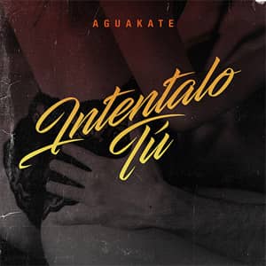 Disco Inténtalo Tú de Aguakate