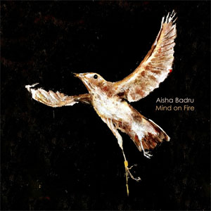 Disco Mind on Fire de Aisha Badru