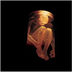 Disco Nothing Safe The Best Of The Box de Alice in Chains