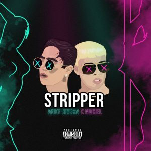 Disco Stripper de Andy Rivera