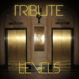 Disco Levels (Avicii Tribute) de Avicii