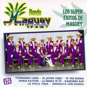 Disco Súper Éxitos de Banda Maguey