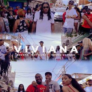 Disco Viviana de Bokotax