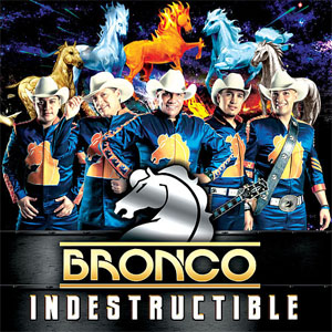 Disco Indestructible de Bronco