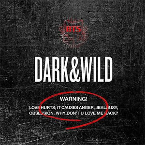 Disco Dark&Wild de BTS