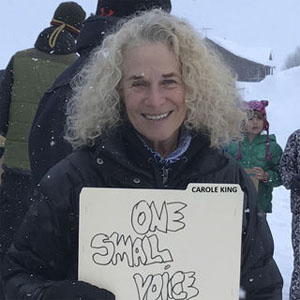 Disco One Small Voice de Carole King