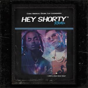Disco Hey Shorty (Remix) de Chris Andrew