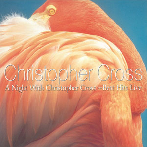 Disco A Night With Christopher Cross - Best Hits Live de Christopher Cross