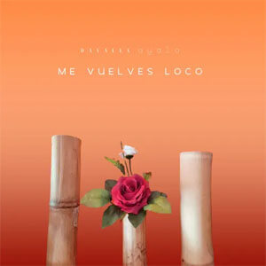 Disco Me Vuelves Loco de Dayalex Ayala
