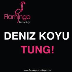 Disco Tung de Deniz Koyu