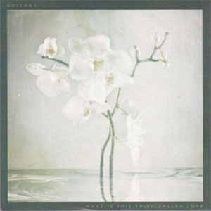 Disco What Is This Thing Called Love de Editors