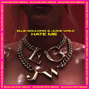 Disco Hate Me (Snakehips Remix) de Ellie Goulding