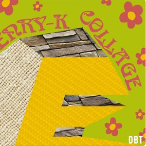 Disco Collage de Enry K