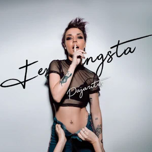 Disco Pajaritos (Remix) de Femigangsta