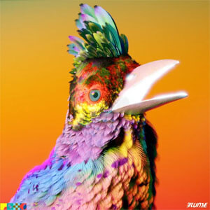 Disco Palaces de Flume