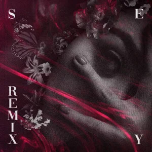 Disco Sexy (Remix)  de Gran Rah