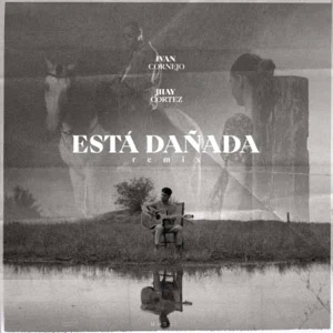 Disco Está Dañada (Remix) de Iván Cornejo