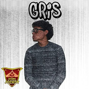 Disco Gris de Joel Joendy