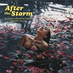 Disco After The Storm de Kali Uchis