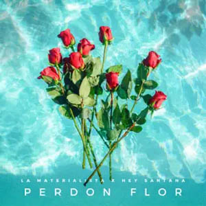 Disco Perdón Flor de La Materialista