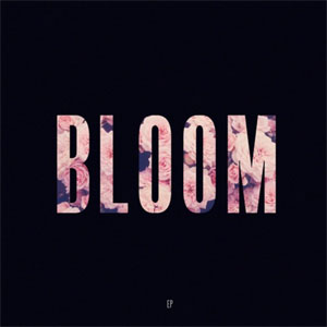 Disco Bloom de Lewis Capaldi