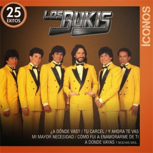 Disco Íconos 25 Éxitos de Los Bukis