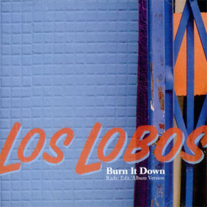 Disco Burn It Down de Los Lobos