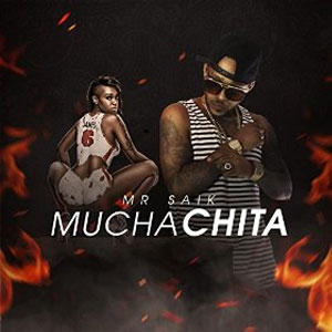 Disco Mucha Chita de Mr. Saik