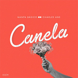 Disco Canela de Nanpa Básico