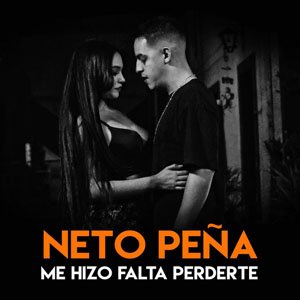 Disco Me Hizo Falta Perderte de Neto Peña