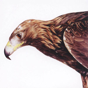 Disco Retro de New Order