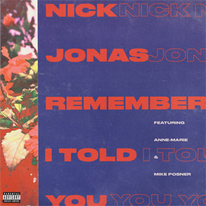 Disco Remember I Told You de Nick Jonas