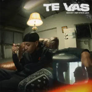 Disco Te Vas de Nickzzy