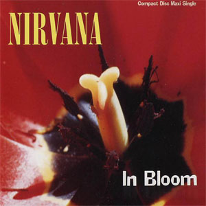 Disco In Bloom de Nirvana