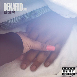 Disco Dekario (Pain) de NLE Choppa