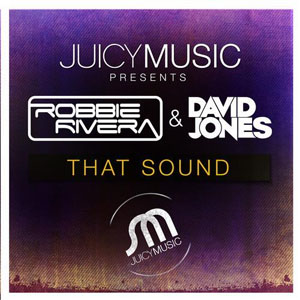 Disco That Sound de Robbie Rivera