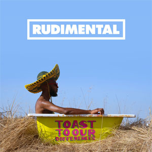 Disco Toast To Our Differences de Rudimental