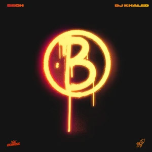 Disco Borracho de Sech