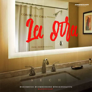 Disco La Otra de Sech