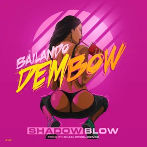 Disco Bailando Dembow de Shadow Blow