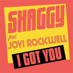Disco I Got You  de Shaggy