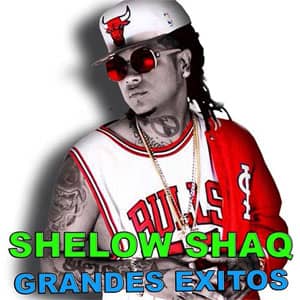 Disco Grandes Éxitos de Shelow Shaq