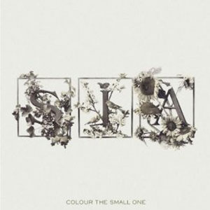 Disco Colour The Small One de Sia