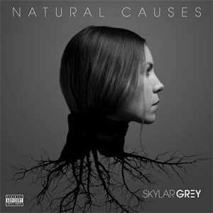Disco Natural Causes de Skylar Grey