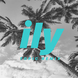 Disco Ily (I Love You Baby) (Topic Remix) de Surf Mesa