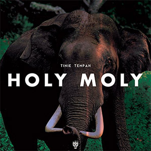 Disco Holy Moly de Tinie Tempah