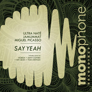 Disco Say Yeah de Ultra Naté