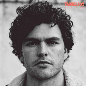 Disco Like Gold de Vance Joy